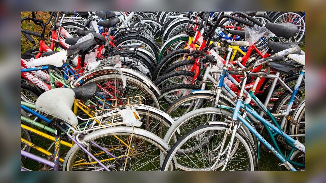 Cykelloppis